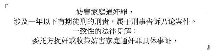 外遇抓奸、捉奸专案